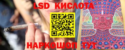 индика Аша