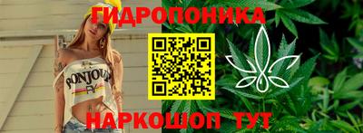 индика Аша