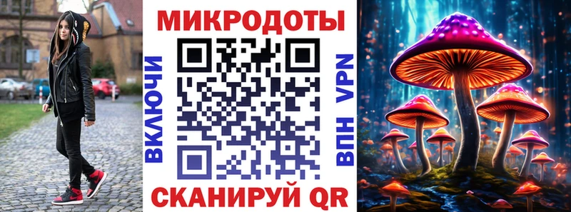 Псилоцибиновые грибы прущие грибы  Луга 