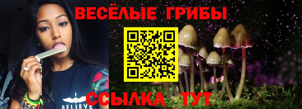 Луга  Галлюциногенные грибы Cubensis  Вход с VPN 